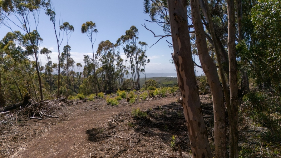  Bedroom Property for Sale in Plettenberg Bay Rural Western Cape